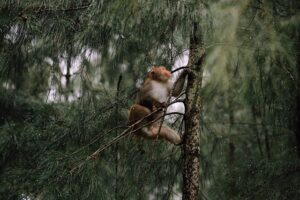 G0ba344b59b26d0a52f48d56090084c6fd79675de1269bd4e8942cd2a3612cdba3f100b58a33c95820fec77f938459ed574c07e7787a5137da3da5ad30cc16d21 640